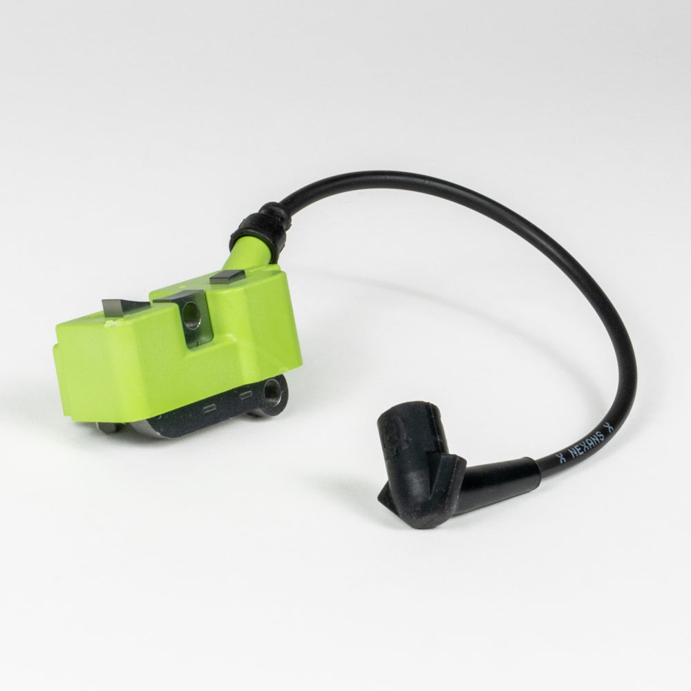 IGNITIN MODULE (60264)