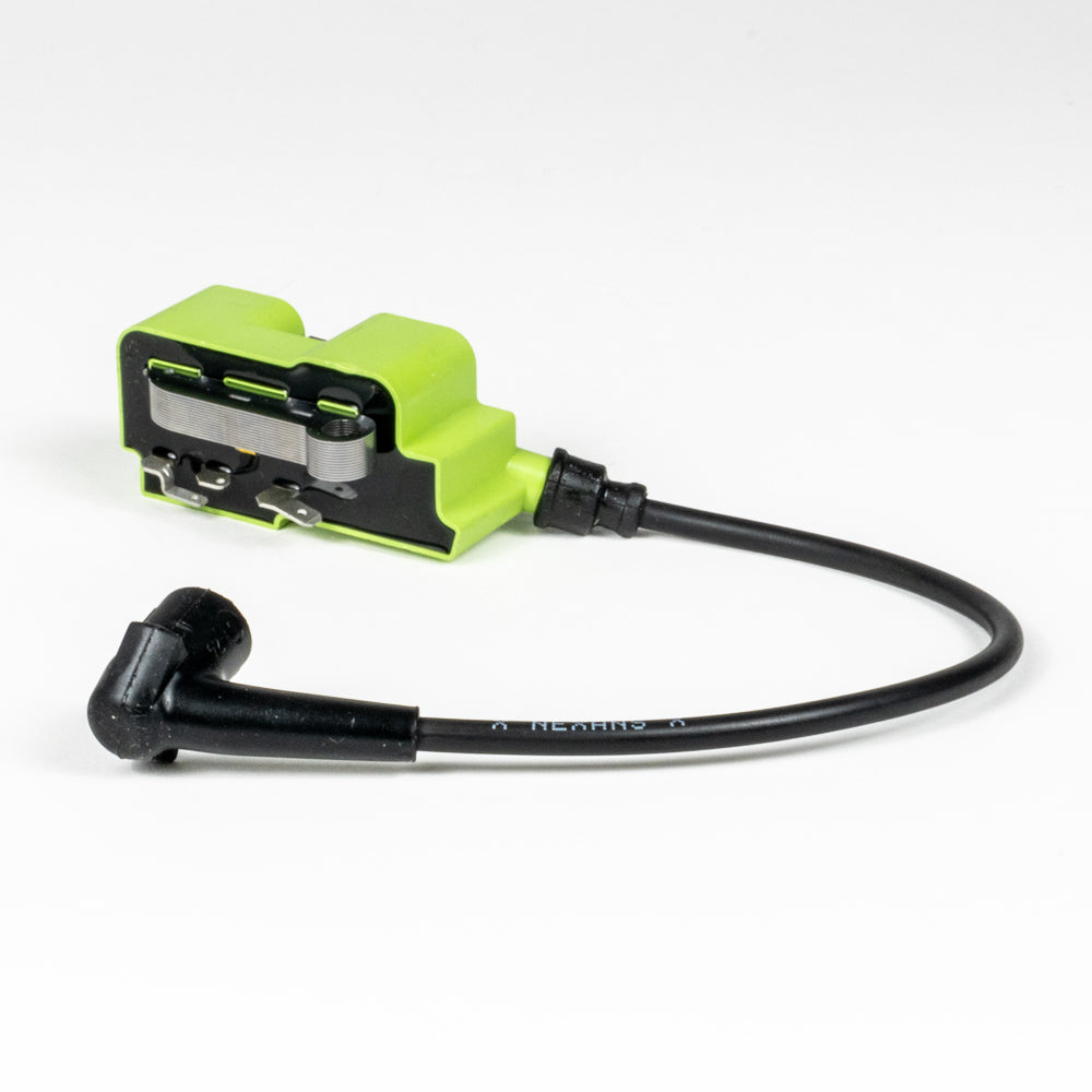 IGNITIN MODULE (60264)